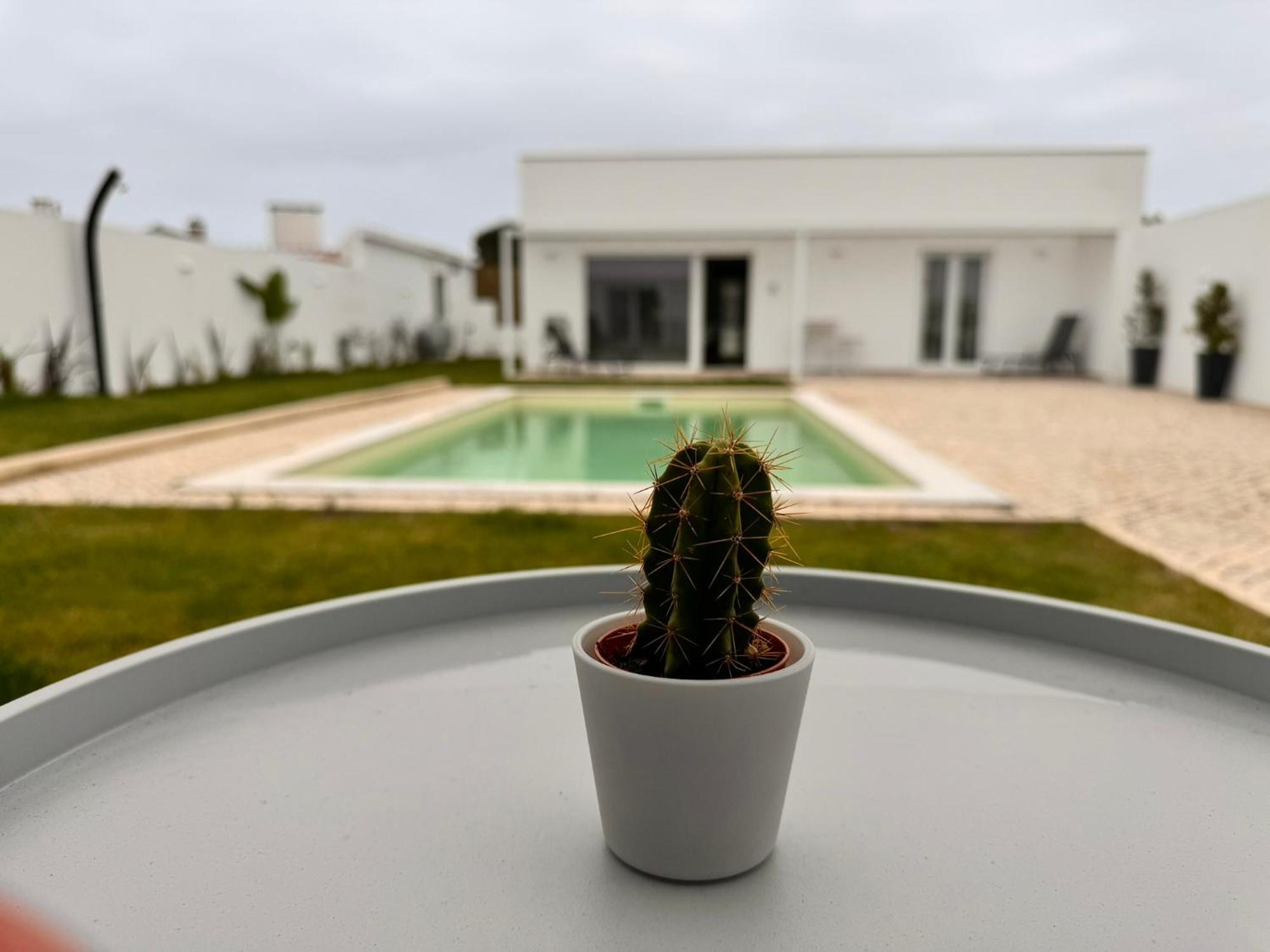 D'Felicidade Caldas Da Rainha Bilik gambar